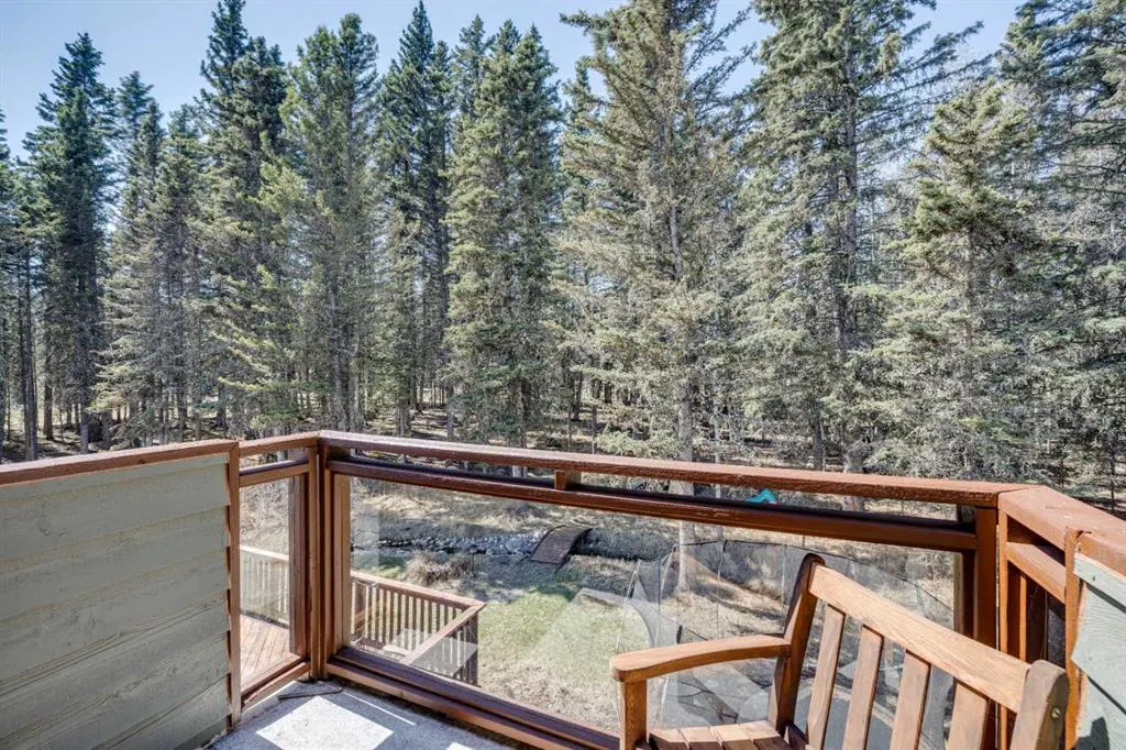 118 Mountain Lion Drive