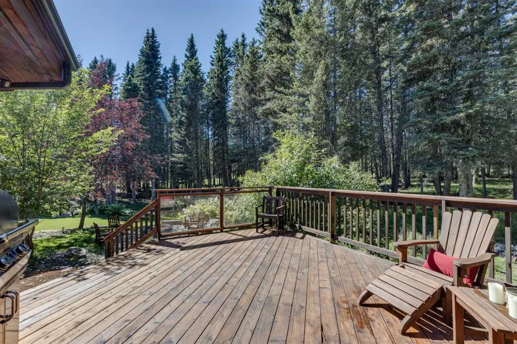 118 Mountain Lion Drive