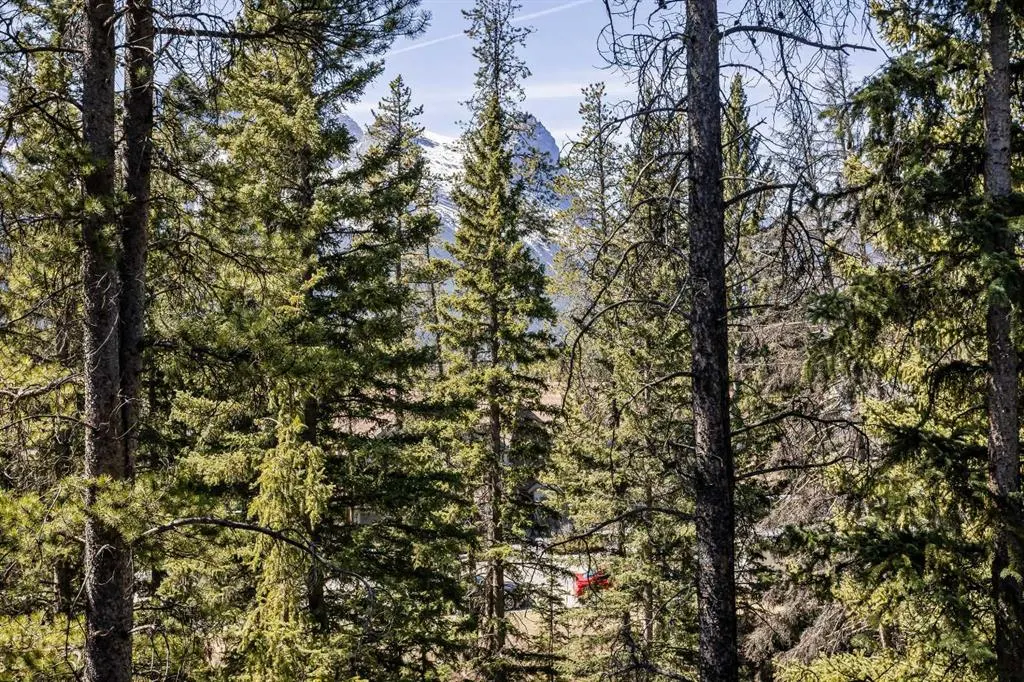 137 Wapiti Close, #14