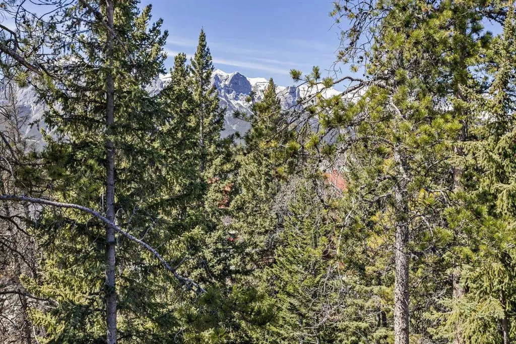 137 Wapiti Close, #14
