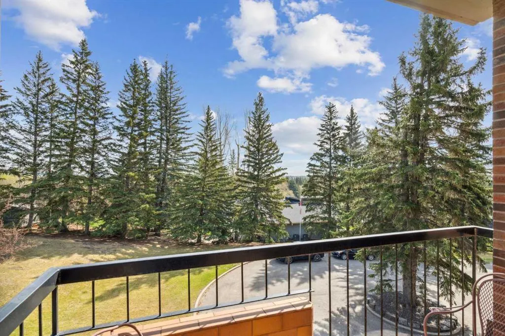 222 Eagle Ridge Drive SW, #3N