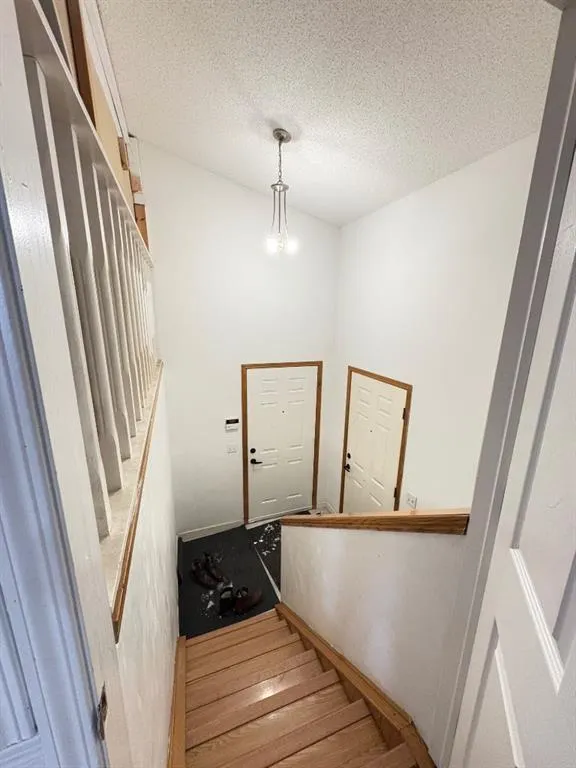 98 Tarawood Road NE