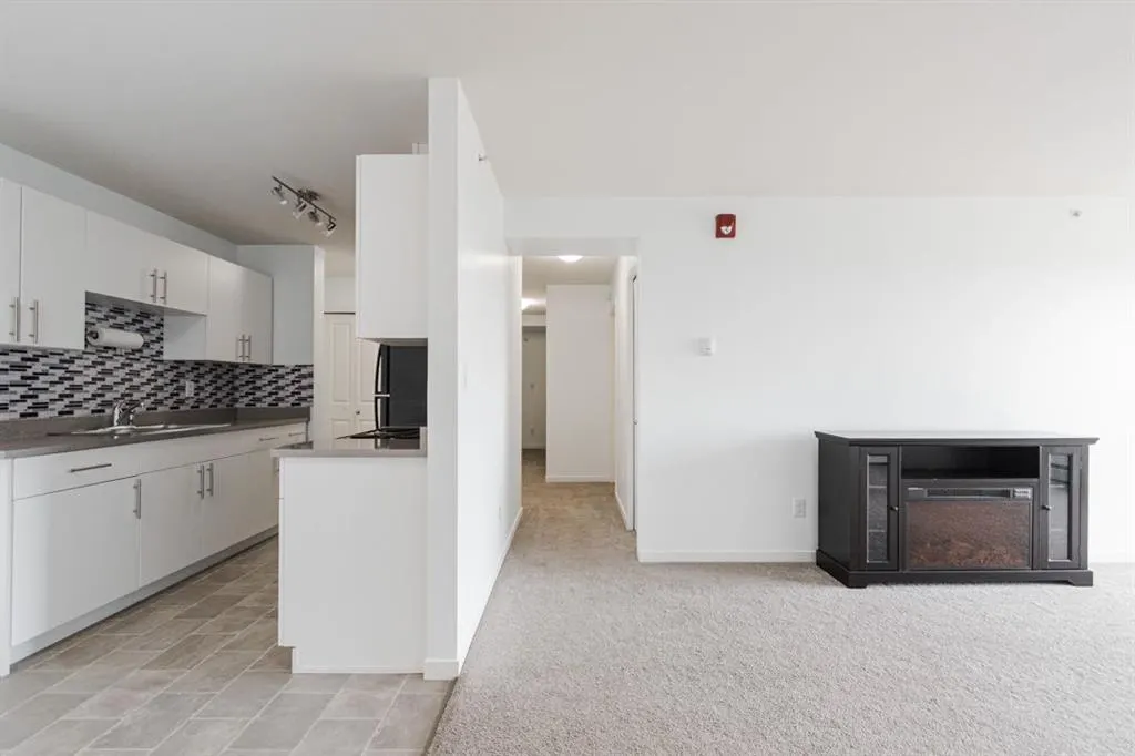 201 Abasand Drive, #1328