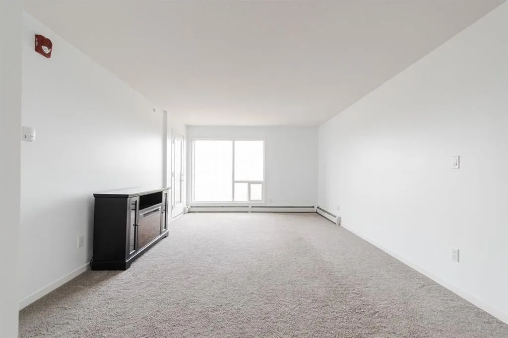 201 Abasand Drive, #1328