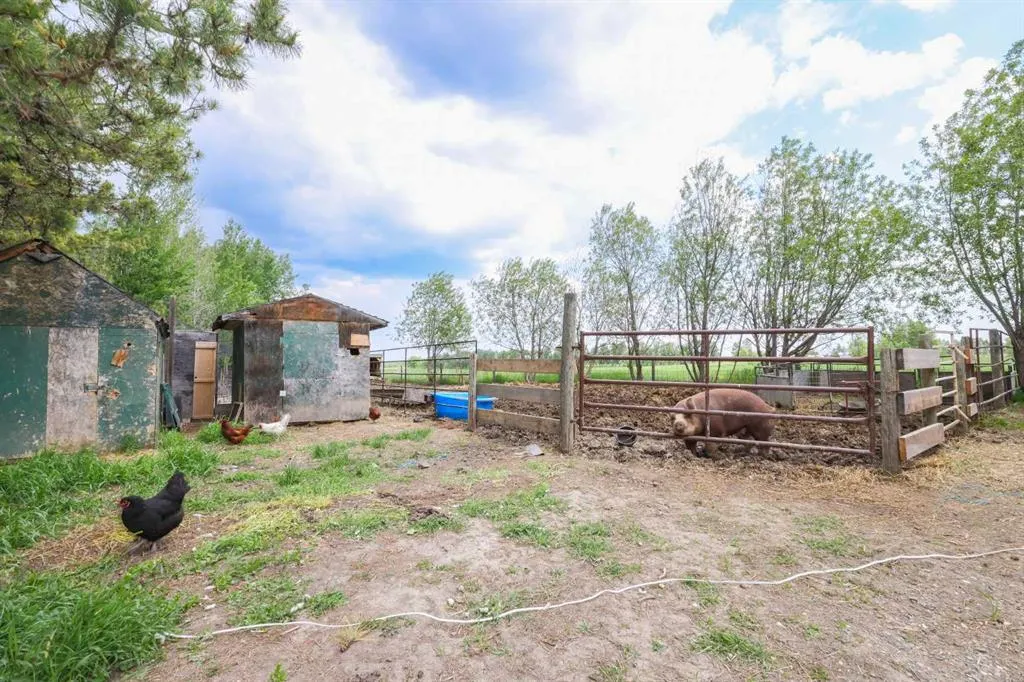 Township Road 38-1 Rocky Mtn. House, #71034 A&B