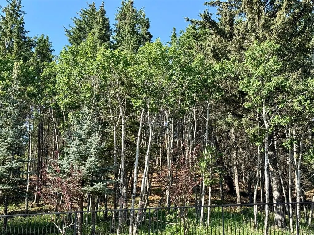 77 George Fox Trail, #107