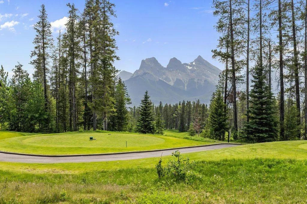 517 Silvertip Pointe
