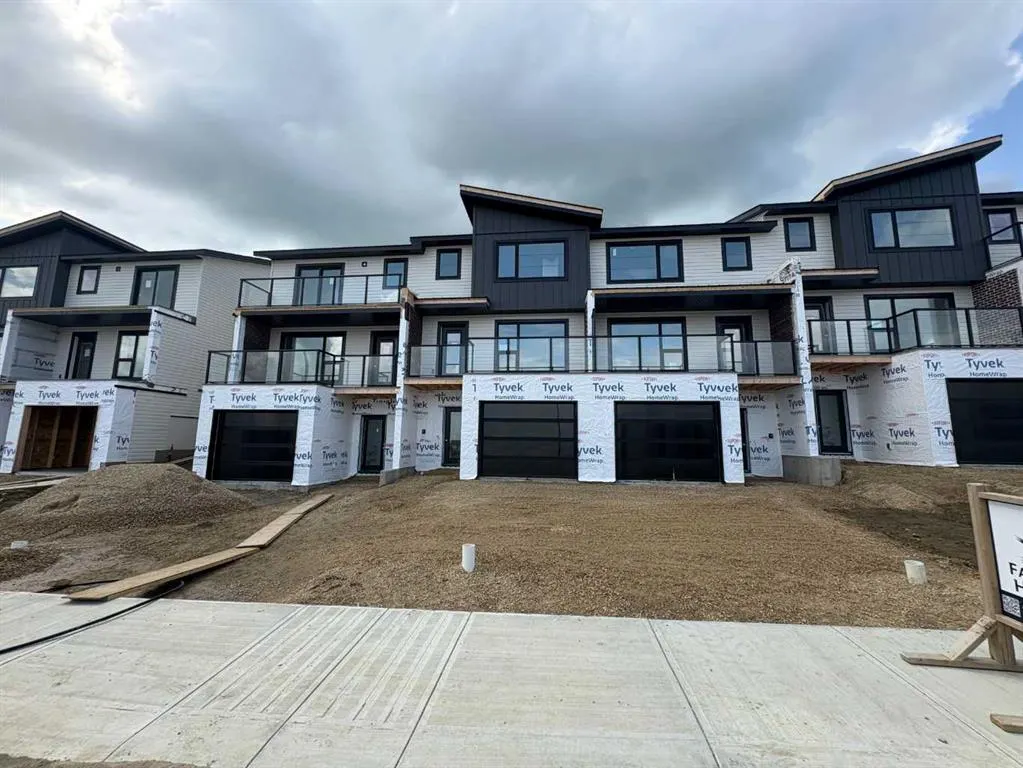 16 Violet Point