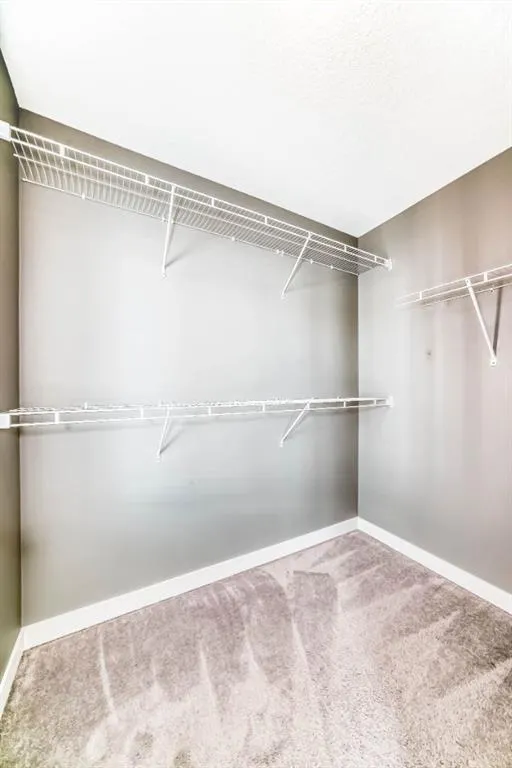 111 Rainbow Falls Gate, #52