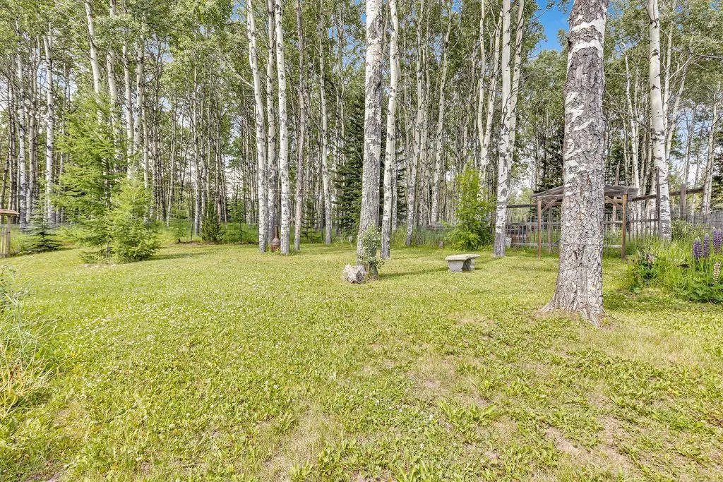 98 Saddle Road