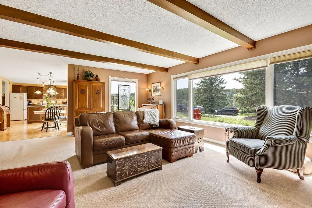 98 Saddle Road