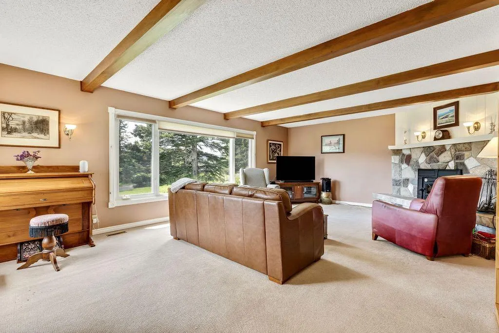 98 Saddle Road