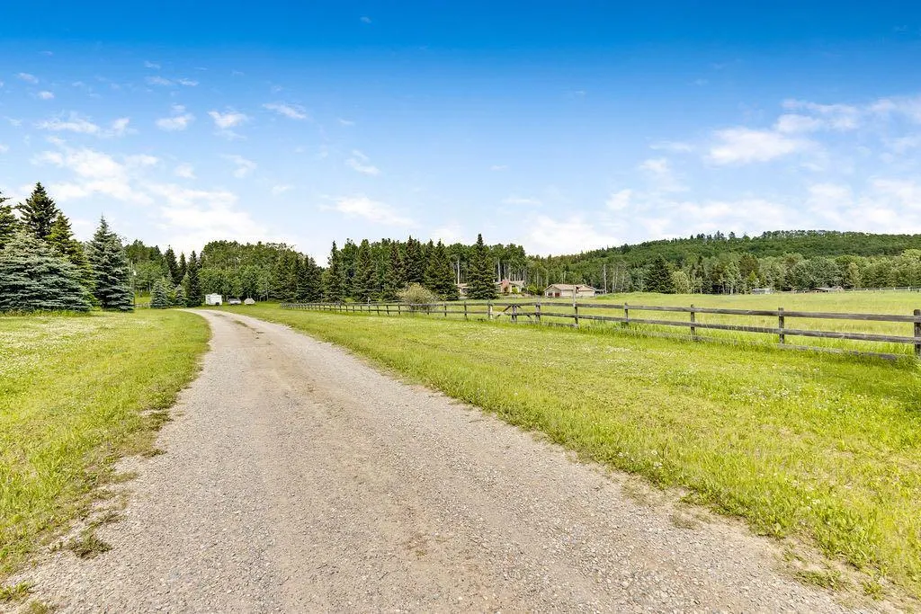 98 Saddle Road