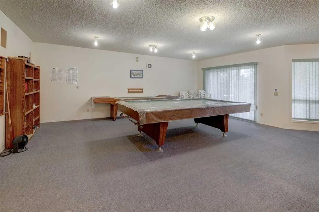 216 Three Sisters Drive, #9