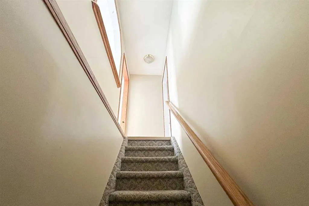 157 Wolverine Drive