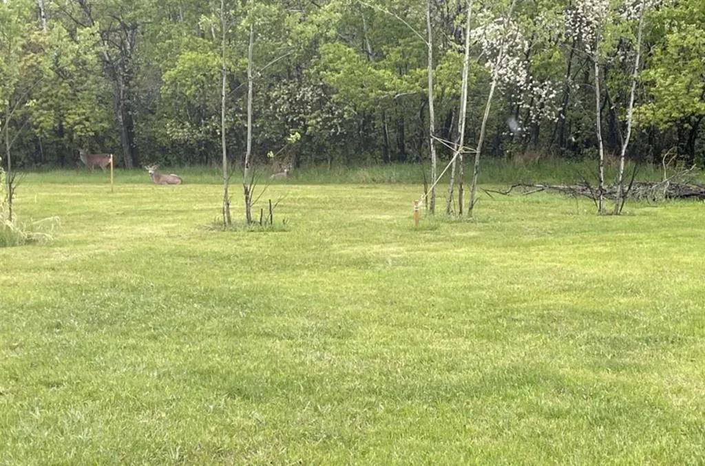 38349 Range Rd 270, #Lot 26