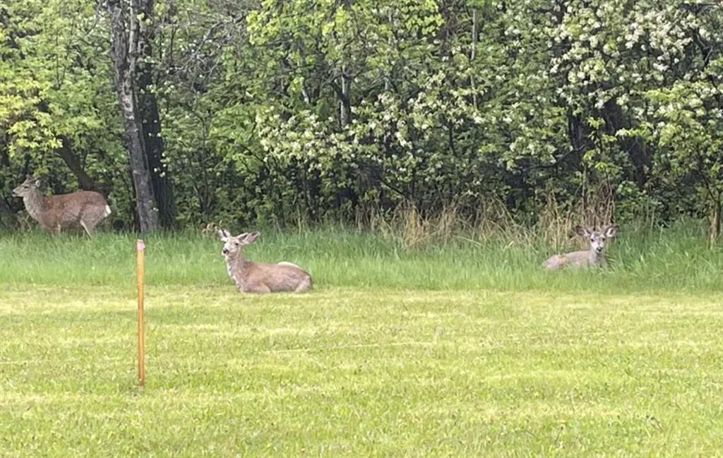 38349 Range Rd 270, #Lot 26