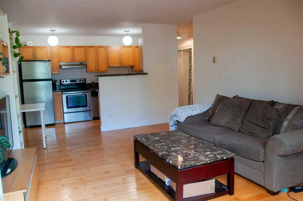 934 2 Avenue NW, #205