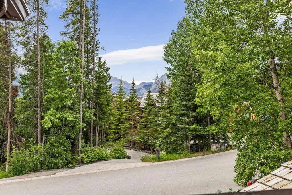 136 Silvertip Ridge, #4