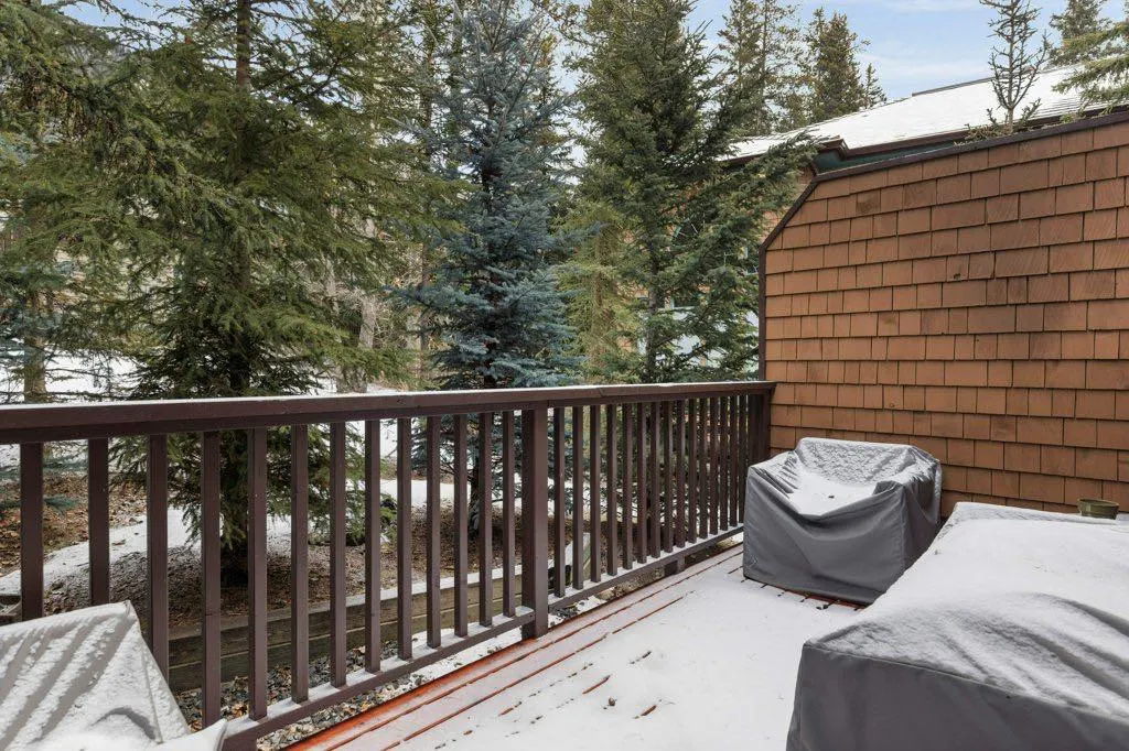 136 Silvertip Ridge, #4