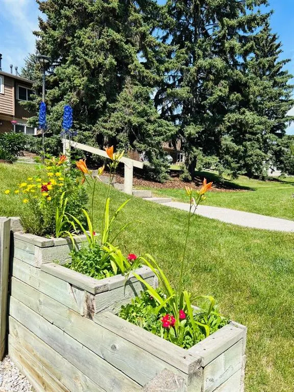 4940 39 Avenue SW, #71