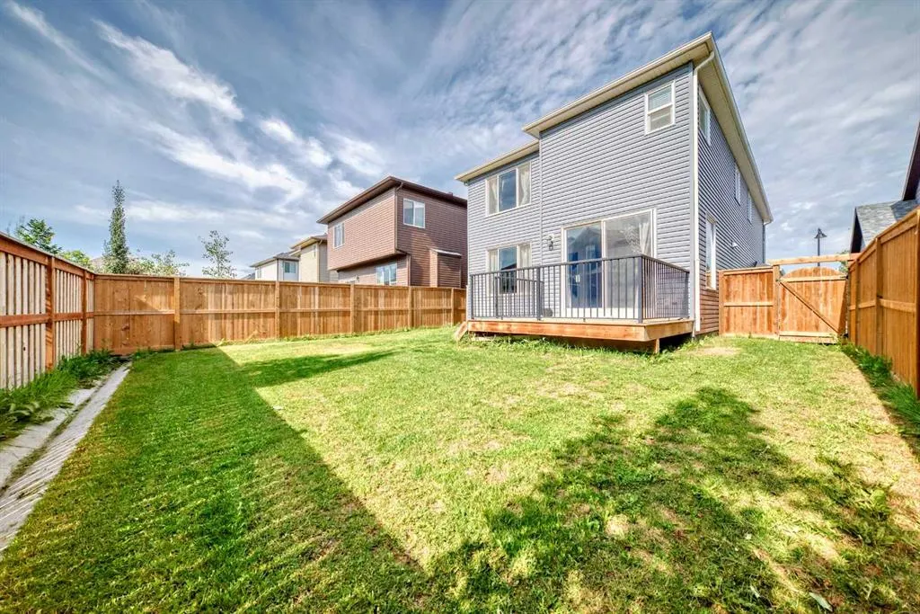 416 Legacy View SE