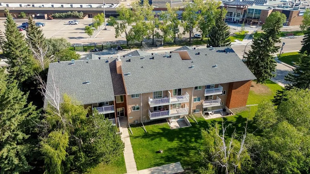41 Bennett Street, #206
