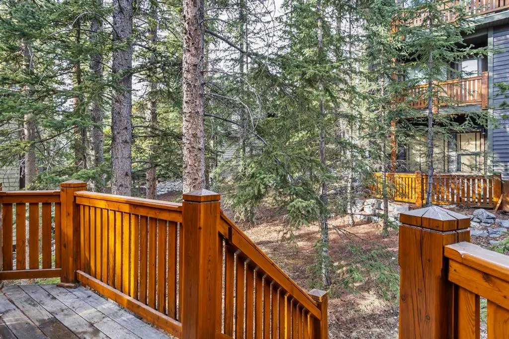 124 Silvertip Ridge, #4