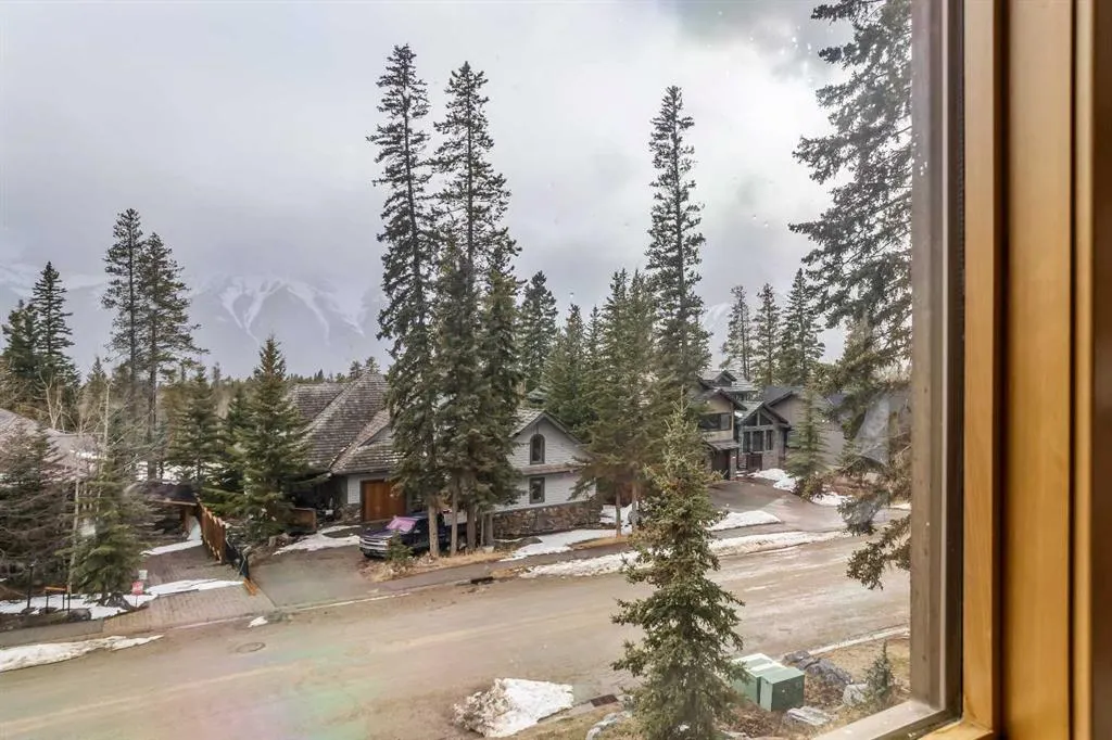 124 Silvertip Ridge, #4