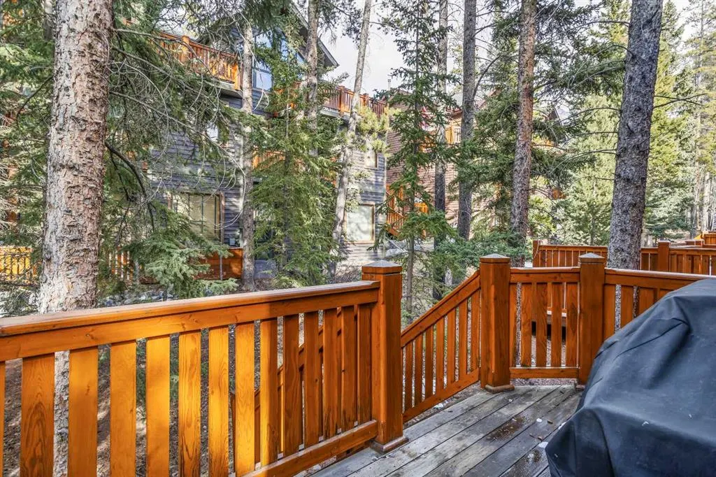 124 Silvertip Ridge, #4