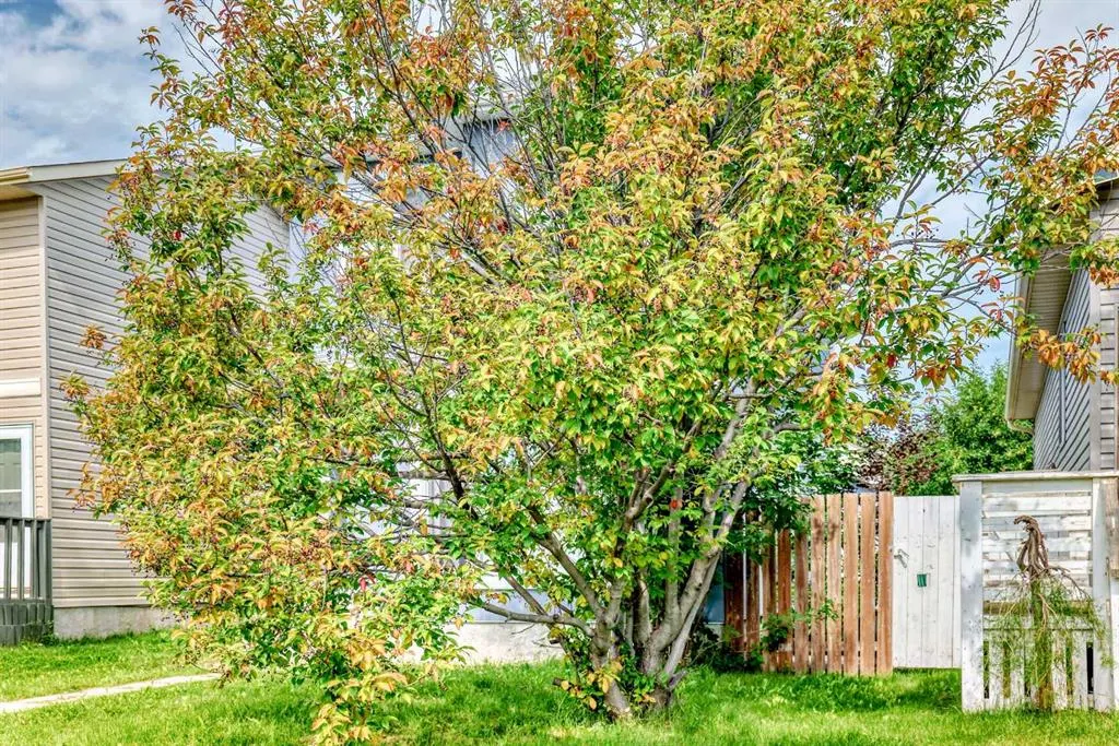 7 Martinview Crescent