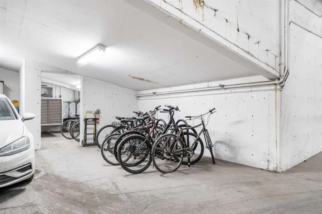 1029 15 Avenue SW, #302