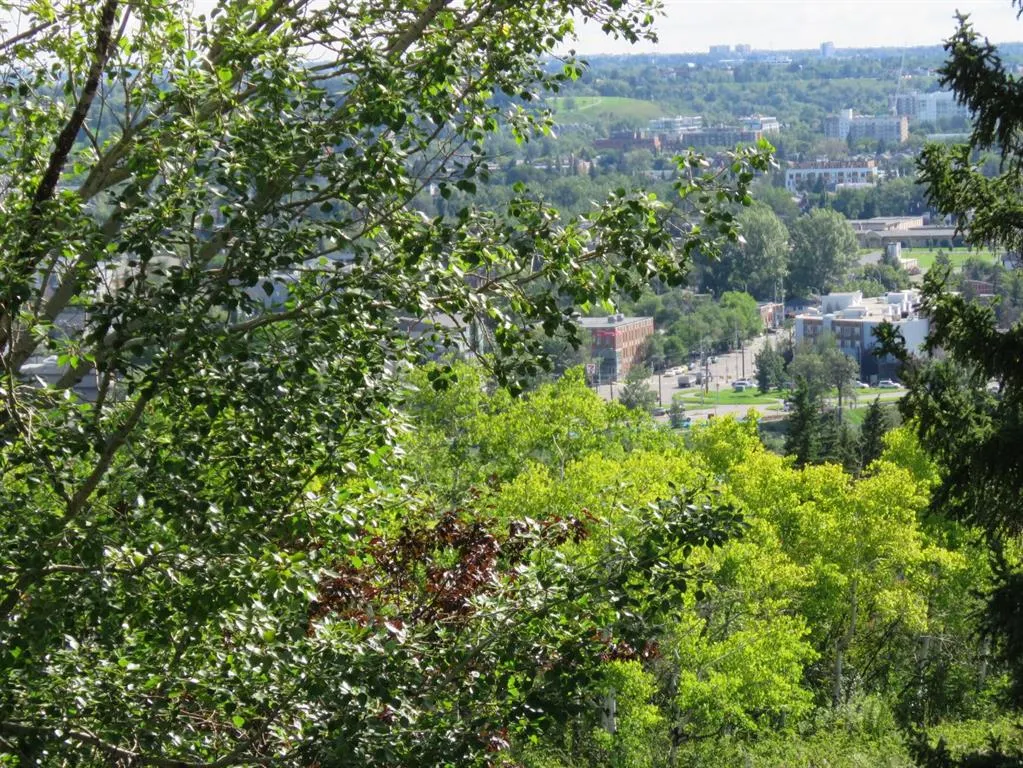 328 Cedar Crescent SW, #204