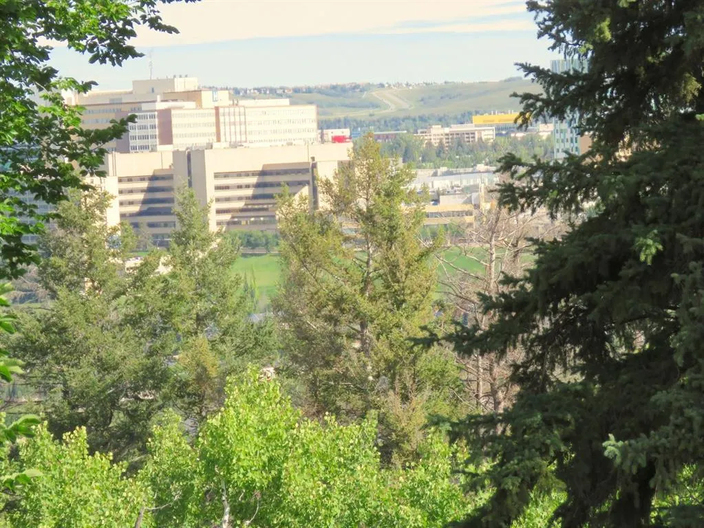 328 Cedar Crescent SW, #204