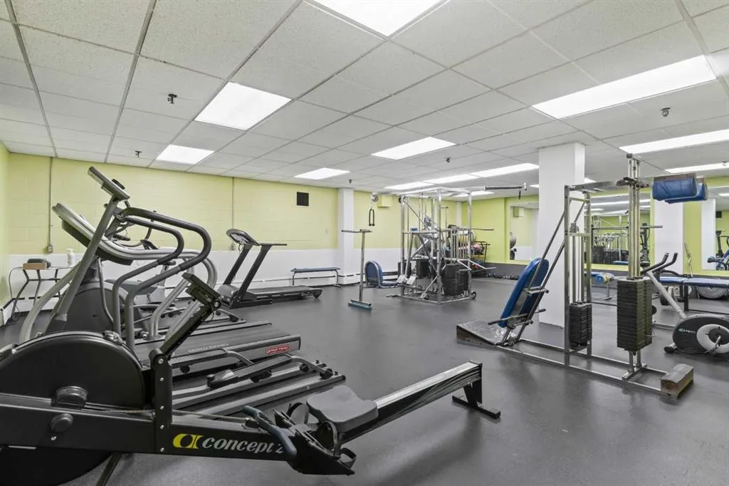 339 13 Avenue SW, #510