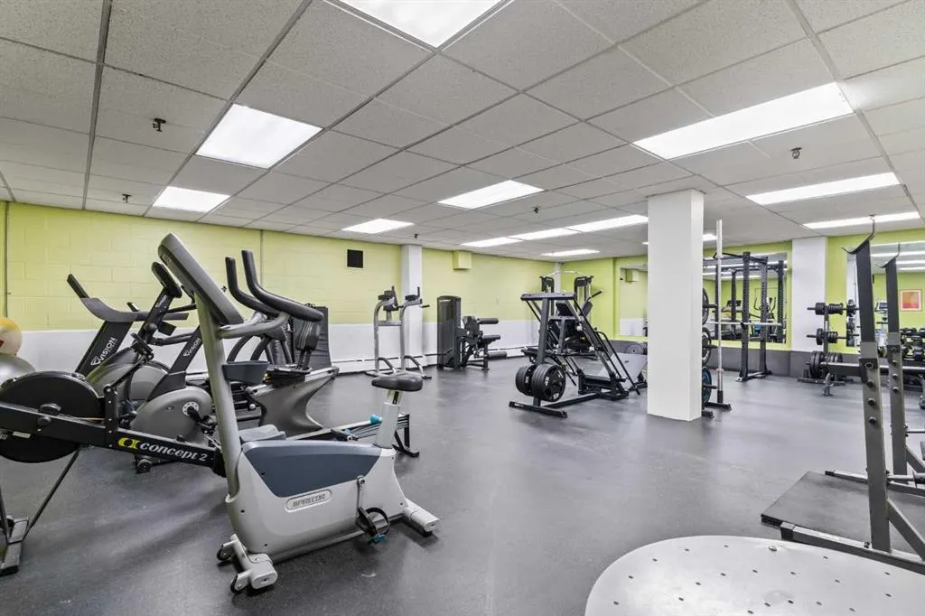 339 13 Avenue SW, #510