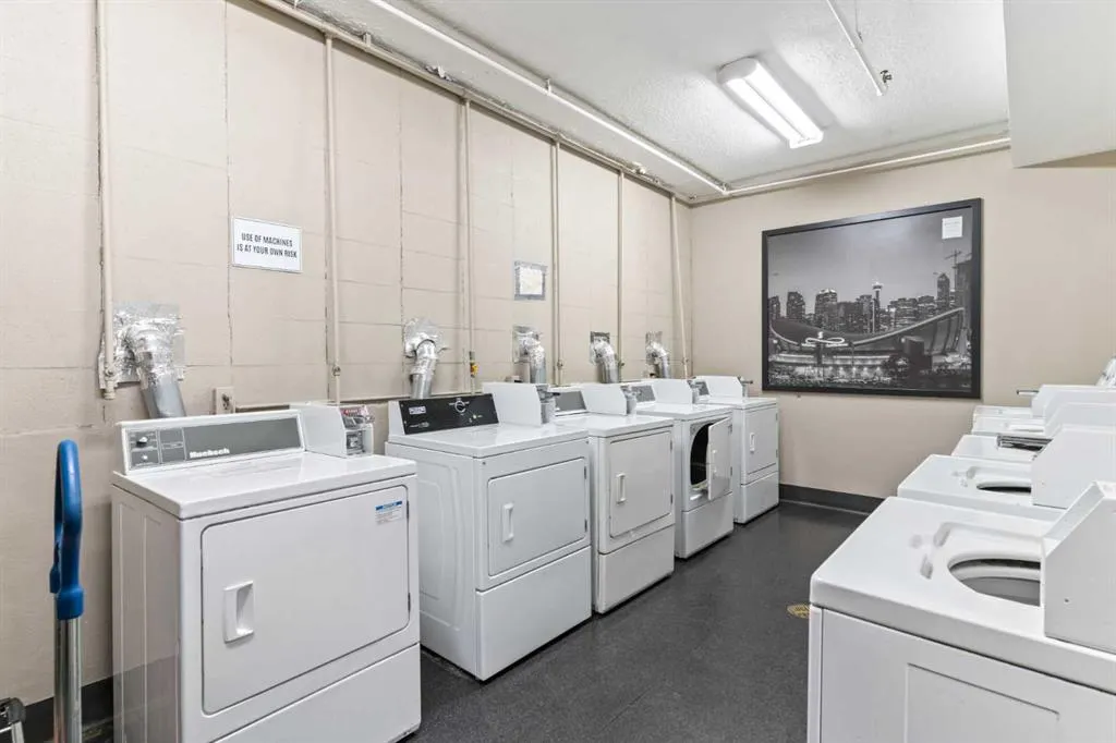 339 13 Avenue SW, #510