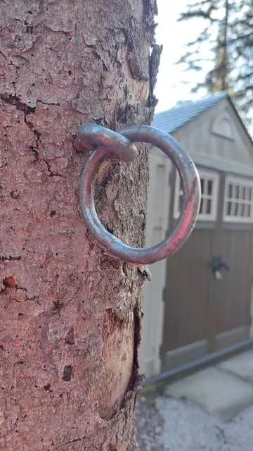 3 Timber Crescent