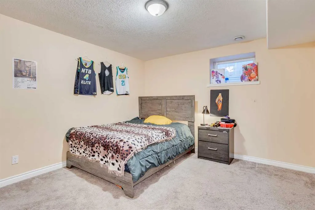 217 Swanson Crescent