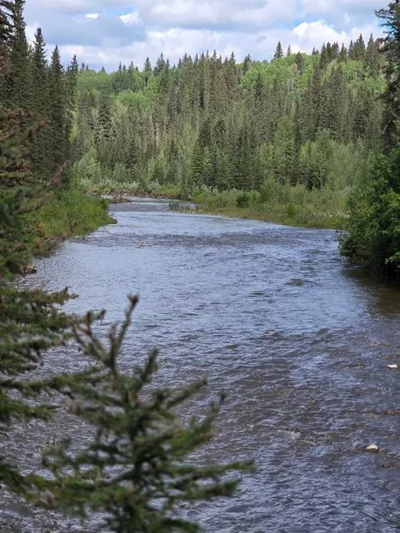 403 29542 Range Rd 52