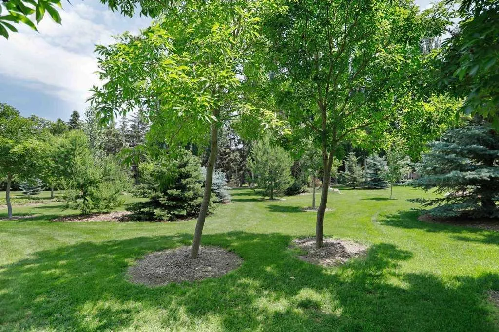 145006 Cassils Road, #142
