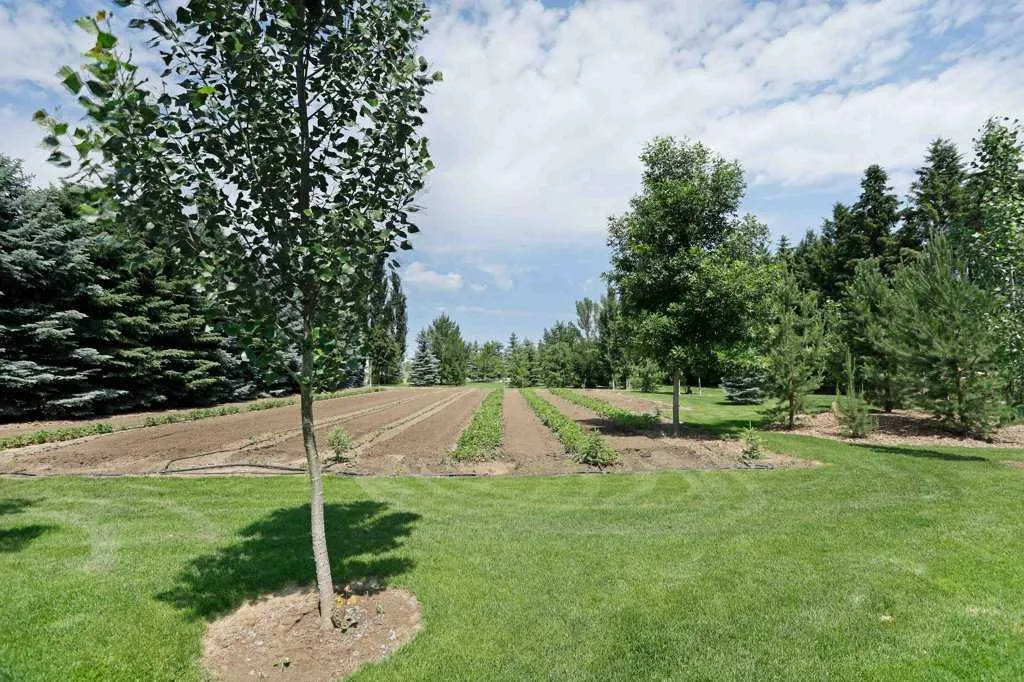145006 Cassils Road, #142