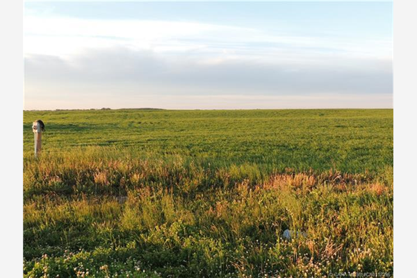 421057 Range Road 284, Rural Ponoka County