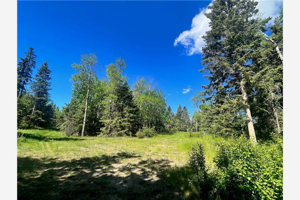 421022 Range Road 260, Rural Ponoka County