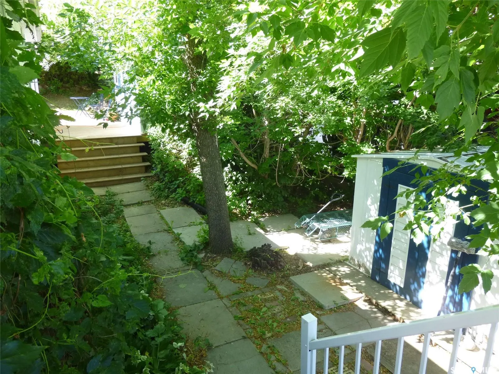 347 Daly AVENUE