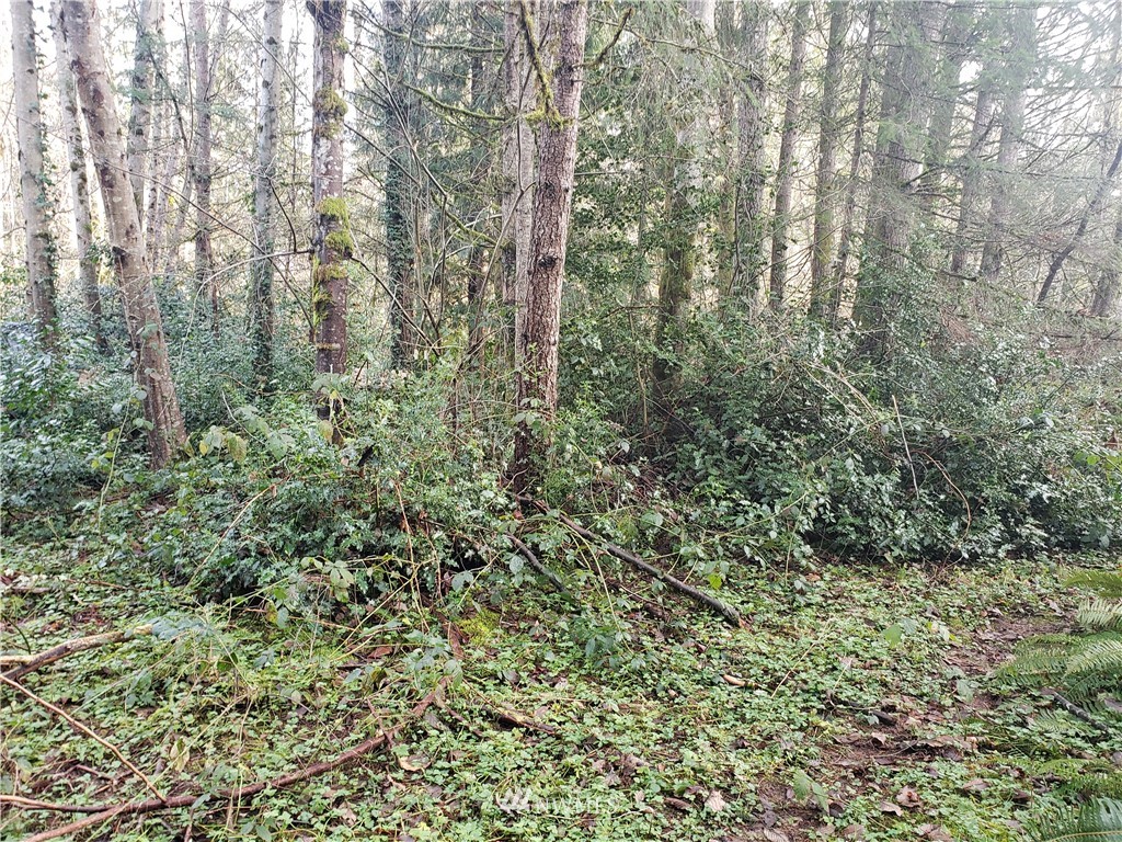 Listing 1883393 - Large Photo # 1