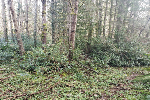 21903 SE 28th Street , Sammamish, WA 98027, Sammamish