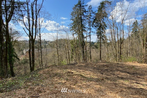0 80xx 136th Avenue SE, Newcastle, WA 98059, Newcastle