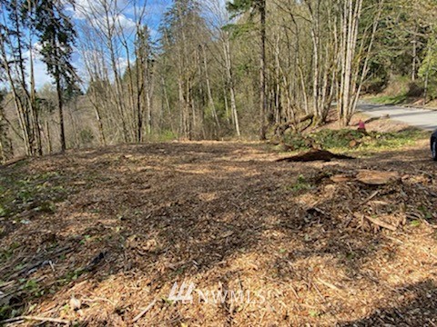 Listing 1940592 - Large Photo # 5