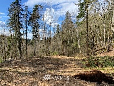 Listing 1940592 - Large Photo # 4